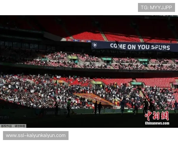 法国本土球迷组织观看派对，弥补无法现场观赛遗憾